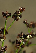 IMG_1965