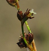 IMG_1966