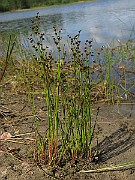 IMG_1967