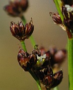 IMG_1969