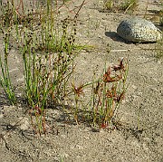 IMG_1999