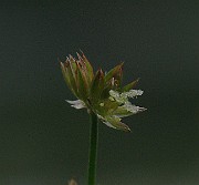 IMG_2753