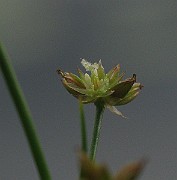 IMG_2761
