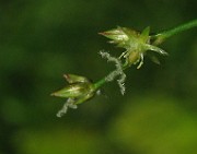 IMG_3450