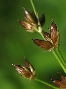 IMG_3453
