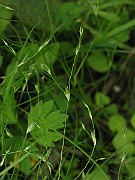 IMG_1758