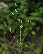 IMG_1760