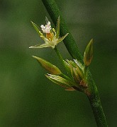 IMG_1744