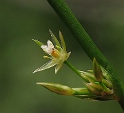 IMG_1745