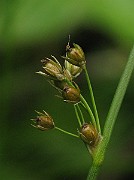 IMG_1762