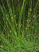 IMG_1769