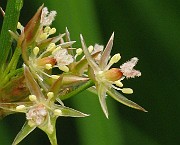IMG_6444