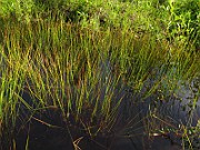 IMG_6843