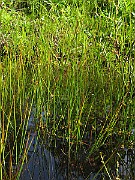 IMG_6846