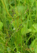 IMG_2138