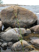 IMG_6714