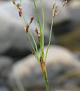 IMG_6715