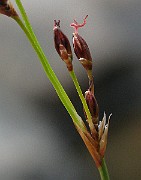 IMG_6716