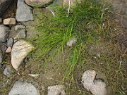 IMG_6717