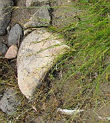 IMG_6717b