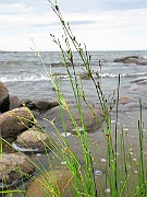 IMG_6718