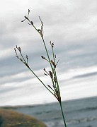 IMG_6719
