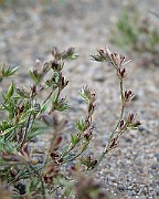 IMG_0902