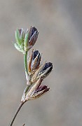 IMG_0903