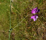 IMG_9941