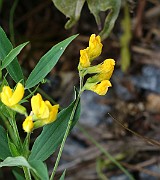 IMG_1069