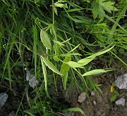 IMG_6516