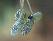 IMG_3832