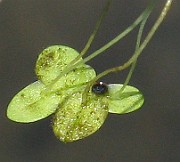 IMG_3835
