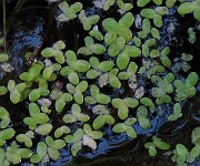 IMG_8806