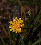 IMG_1669
