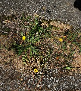 IMG_1677