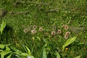 IMG_1690