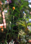 IMG_1624