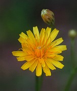 IMG_1850