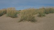 IMG_0584