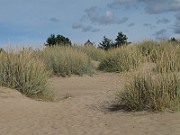 IMG_0585