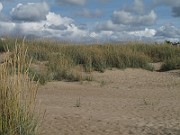 IMG_0586