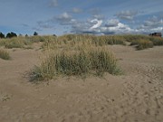 IMG_0587