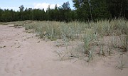 IMG_2513