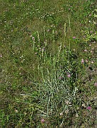 IMG_4201