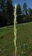 IMG_4202