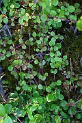 IMG_0153
