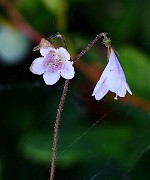 IMG_0157