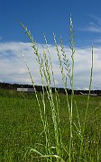 IMG_9555