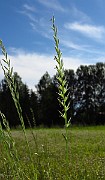 IMG_9556